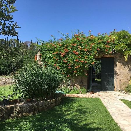 Villa Lucivana For Deep Rest & Brief Remote Work Gruda المظهر الخارجي الصورة
